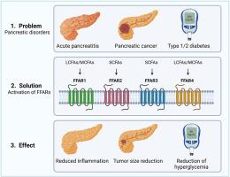 The role of free fatty acid receptors activation in pancreatic disorders
