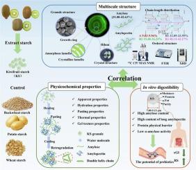 Multi-scale structure provides new insights into the physicochemical and digestive behaviors of kiwifruit (Actinidia spp.) starch obtained from defective hard fruits