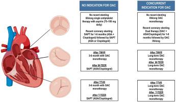 Pharmacology in Structural Intervention for Valvular Heart Disease: Current Practice and Future Perspectives