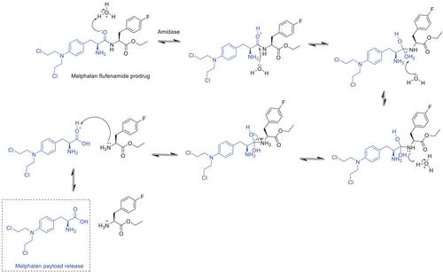 Peptide-Drug Conjugates: A New Hope for Cancer