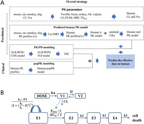 Translational Model-Informed Dose Selection for Iruplinalkib, a Selective Oral ALK/ROS1 Tyrosine Kinase Inhibitor