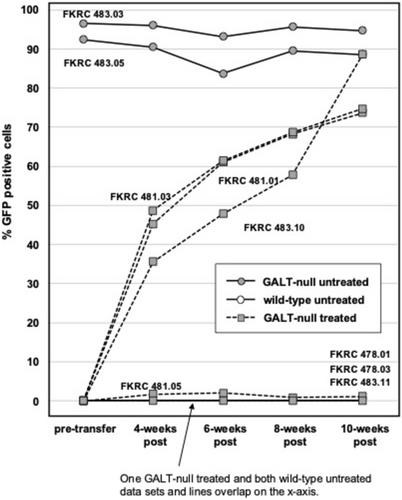 A Pilot Study of Bone Marrow Transplantation in a GALT-Null Rat Model of Classic Galactosemia