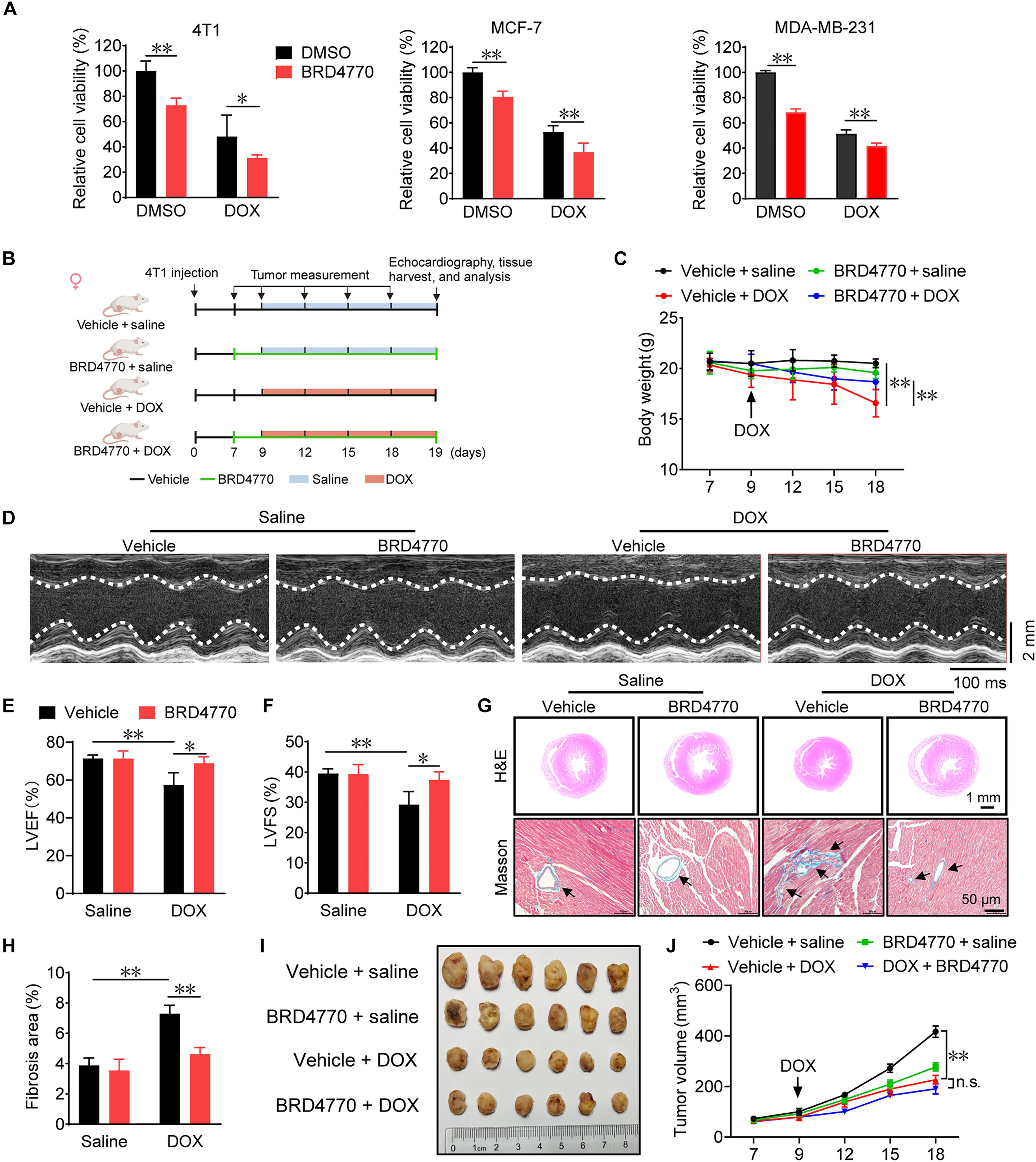 BRD4770 protects against DOX-induced cardiotoxicity by inhibiting apoptosis and ferroptosis