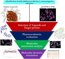 Unraveling the potential targeting activity of propolis against transcriptional regulator prfA from Listeria monocytogenes to combat listeriosis