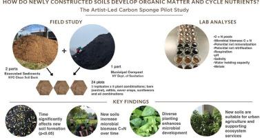 Carbon and nitrogen cycling in an urban constructed technosol: The artist-led carbon sponge pilot study