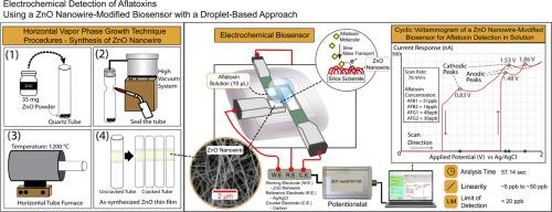 Electrochemical detection of aflatoxins using a ZnO nanowire-modified biosensor with a droplet-based approach
