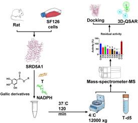 Effects of gallates on 5α-reductase type 1: structure-activity relationship and implications for neurosteroid balance in neuropsychiatric disorders
