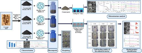 Coconut shell biochar–Bacillus cereus DKBovi-5 based biocomposite as a sustainable additive for cement mortar: Effect of pyrolysis temperature on characterization, strength, hydration, and healing