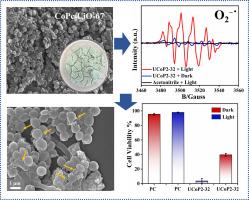 Visible light-activated cobalt phthalocyanine/UiO-67 composite: A novel approach to photodynamic antibacterial therapy
