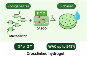 Green synthesis of scalable non-soluble hydrogels: rapid transesterification of maltodextrin with dimethylcarbonate using DABCO/DMSO†