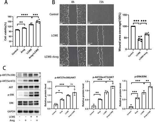 Amphiregulin Promotes Proliferation and Migration of the Damaged Endothelial Cells in Kawasaki Disease Cell Models
