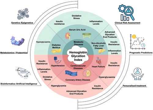 The Association Between the Hemoglobin Glycation Index and Cardiometabolic Diseases: A Mini-Review