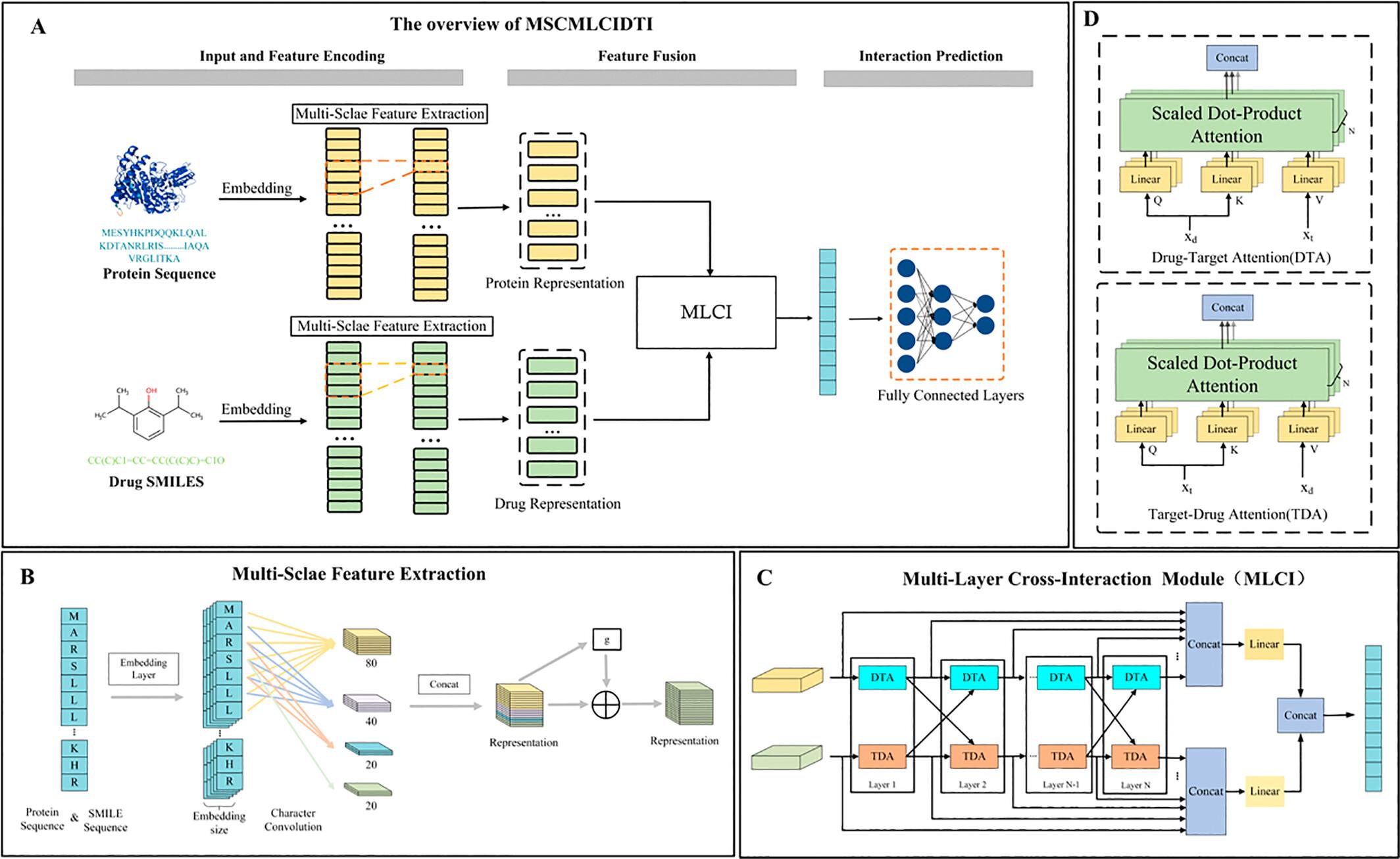 MSCMLCIDTI: Drug–Target Interaction Prediction Based on Multiscale Feature Extraction and Deep Interactive Attention Fusion Mechanisms