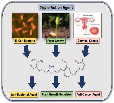 Synthesis and Biological Evaluation of a Schiff Base Appended Triazole as a Multifunctional Agent