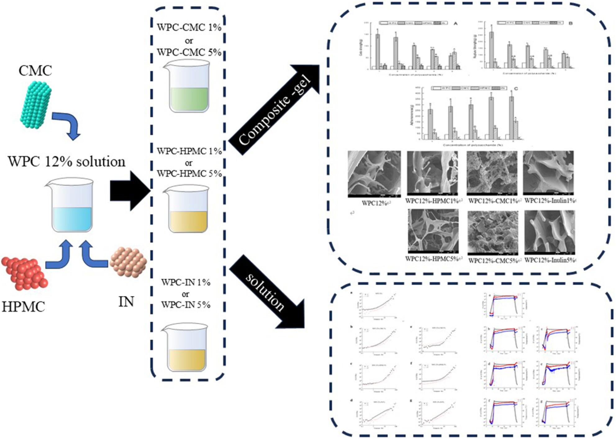 A comparative insight into the heat induced gelling behaviour of whey protein and three polysaccharides and their corresponding characteristics