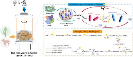 Multidimensional electroactive material for high-solids anaerobic digestion of agricultural waste: Synergistic enhancement of extracellular electron transport and metabolism