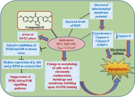 Novel anticancer inhibitors targeting the PI3K/Akt/mTOR signaling route and apoptosis inducers: A study on the apoptosis mechanism via the intrinsic mitochondrial-mediated pathway