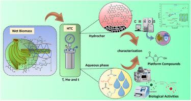 Hydrothermal carbonization of Colombian plantain peels: Physicochemical properties, thermal behavior, and bioactive potential
