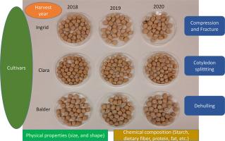 Mechanical attributes of Swedish pea cultivars