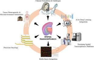 From tissue architecture to clinical insights: Spatial transcriptomics in solid tumor studies