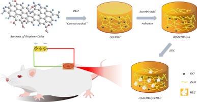Conductive graphene oxide-based hydrogel containing human-like collagen combined with electrical stimulation for wound treatment