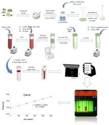 Smartphone digital image colorimetry combined with deep eutectic vs supramolecular solvents liquid-liquid microextraction for cleanup and preconcentration of zinc in fish and vegetable samples