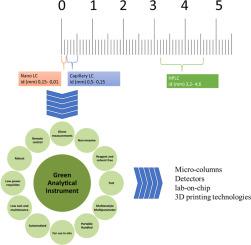 Chemical analysis using miniaturized and Portable 3D printed systems: Where are we now?