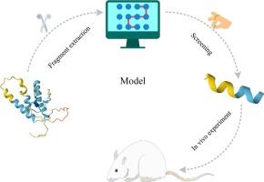 The discovery of wheat-derived anticaries peptides by a ML-based computational strategy