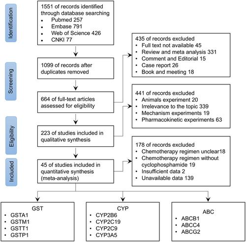 Influence of Genetic Variation of GST, CYP, and ABC on the Safety and Efficacy of Cyclophosphamide-Based Therapy