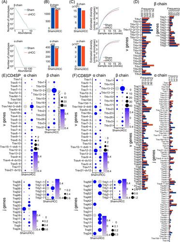 Thymic Microenvironment Remodeling in Cancer Cachexia as a Determinant of Checkpoint Inhibitor Efficacy and Toxicity