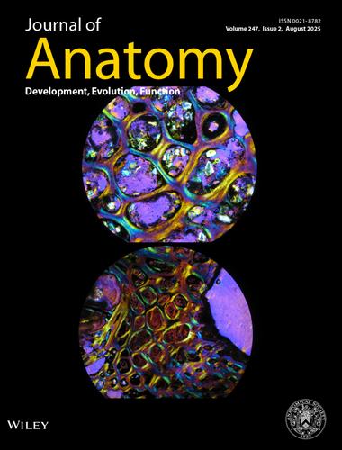 Issue Cover (August 2025)