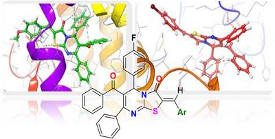 Synthesis, Characterization, and In Silico Investigation of Novel Bicyclic Benzylidene Thiazolo[3,2-a]Pyrimidin-3(2H)-one Derivatives