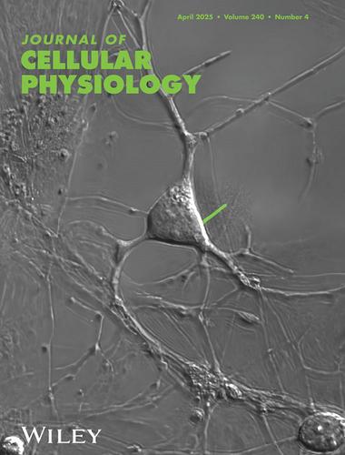 Cover Image, Volume 240, Number 4, April 2025