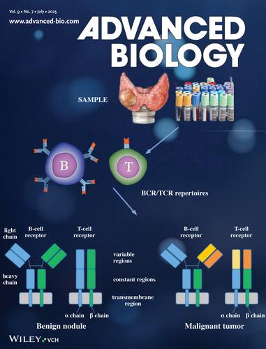 Application of Immune Repertoire Analysis in Differentiating Thyroid Cancer and Large Benign Thyroid Nodules (Adv. Biology 7/2025)