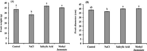 Morpho-physiological, productivity, and phytochemical responses of NIL-Sletr1-2 tomato mutants as an effect to different types of elicitors