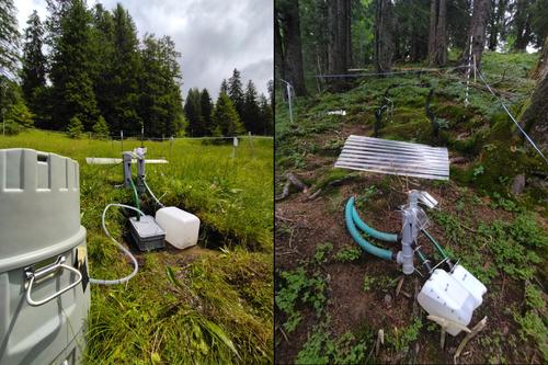 Spatial and Temporal Variability in Event Water in Near-Surface Flow Pathways in a Humid Steep Headwater Catchment