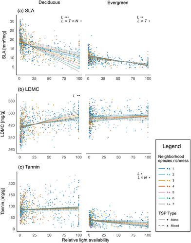 Within-individual leaf trait response to local light availability and biodiversity in a subtropical forest experiment