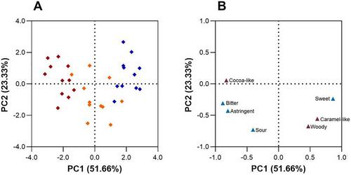 Soy Protein Hydrolysate Accentuates the Cocoa-Like Flavor Attributes of Carob-Based Dark Chocolate