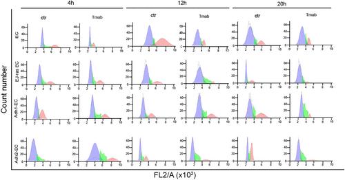 Correction to “Heparan Sulfate Proteoglycans as Trastuzumab Targets in Anoikis-Resistant Endothelial Cells”