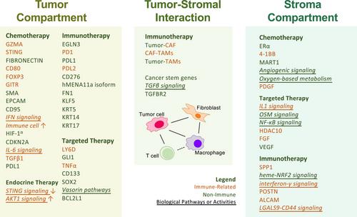 Cancer therapy resistance from a spatial-omics perspective