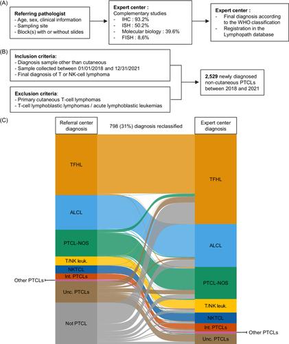 Distribution reappraisal of peripheral T- and NK-cell lymphoma entities through the French Lymphopath network database