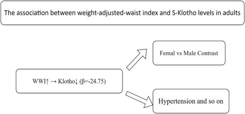 The Association Between Weight-Adjusted-Waist Index and S-Klotho Levels in Adults: NHANES 2007–2016