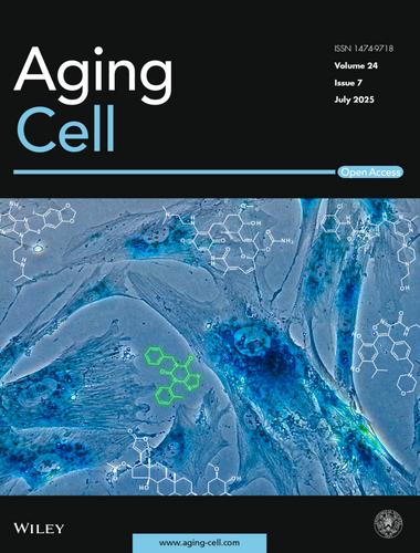 Additional Cover