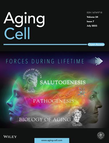 Additional Cover
