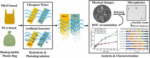 Generation of biodegradable microplastics from commercially available PBAT and PLA-based plastic bags in water: Impacts of UVA and water medium