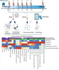 High-dimensional immune profiling identifies circulating NK and T cell subpopulations associated with asymptomatic COVID-19 and absence of multiple long-term symptoms