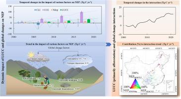 Ecosystem engineering and global changes are increasingly enhancing China’s terrestrial carbon sinks