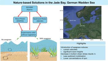 Nature-based solutions: leveraging the coastal protective potential of seagrass in the Jade Bay region