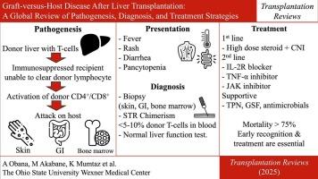 Graft-versus-host disease after liver transplantation: A global review of pathogenesis, diagnosis, and treatment strategies