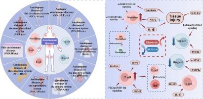 Glycometabolic reprogramming of immune cells in autoimmune diseases